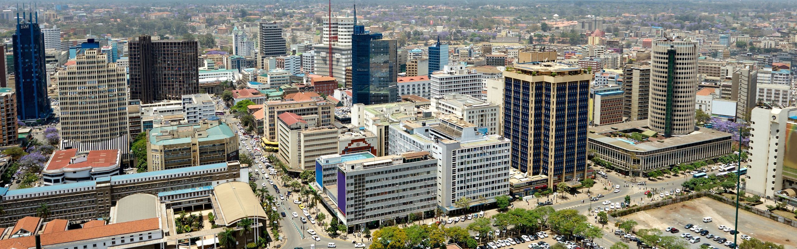 Africa Business: The Challenges and Prospects of Passport-Free Travel in Africa Using Biometrics