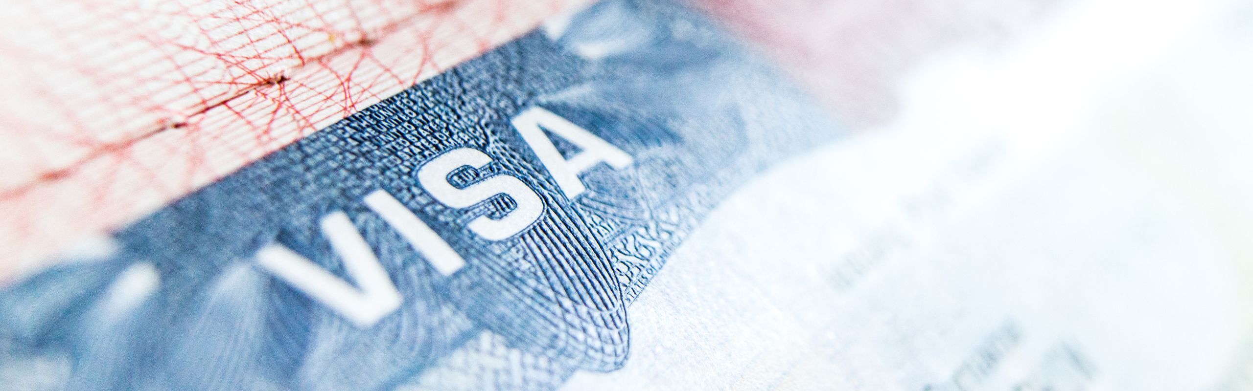 Business Standard: 11 Million US Visa Backlog Crushes Indian H-1B, Green Card Dreams: Decoded