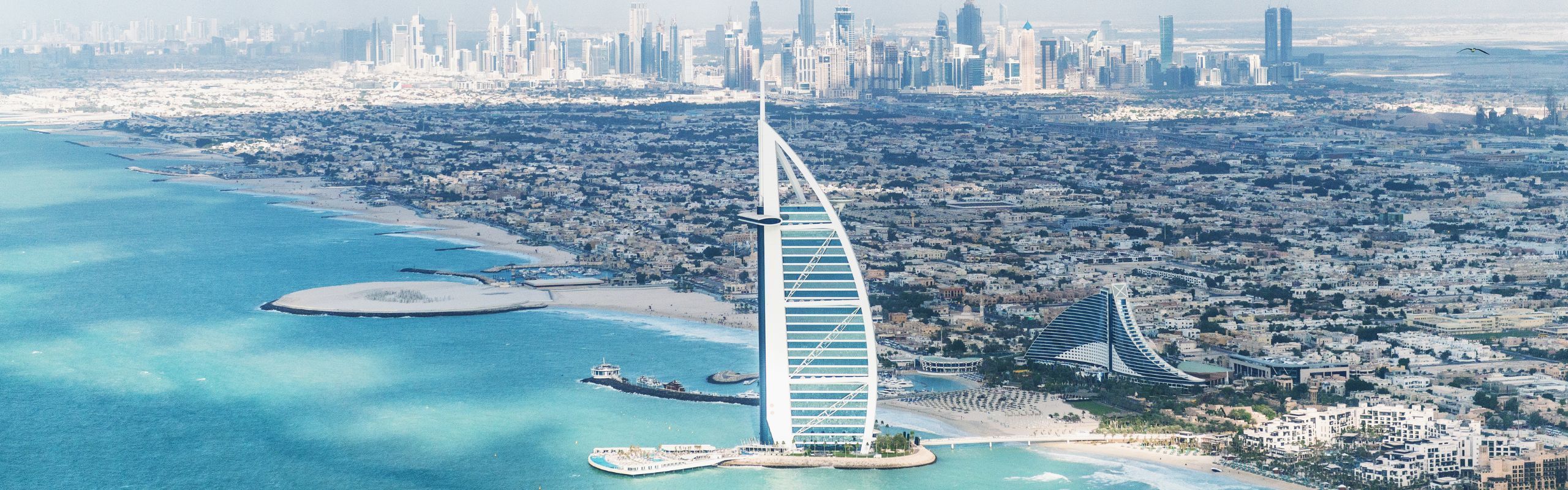 International Organisation of Employers: The Gulf Experience: Building a Skilled Workforce in the UAE