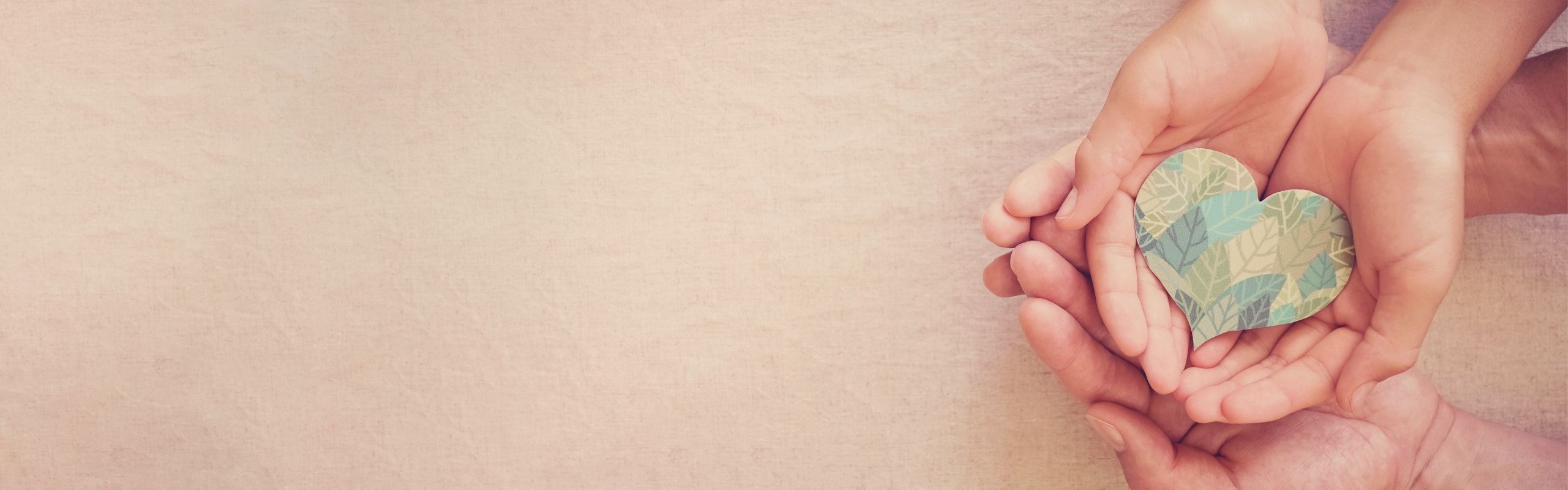 Responsible Business Practice hands holding heart