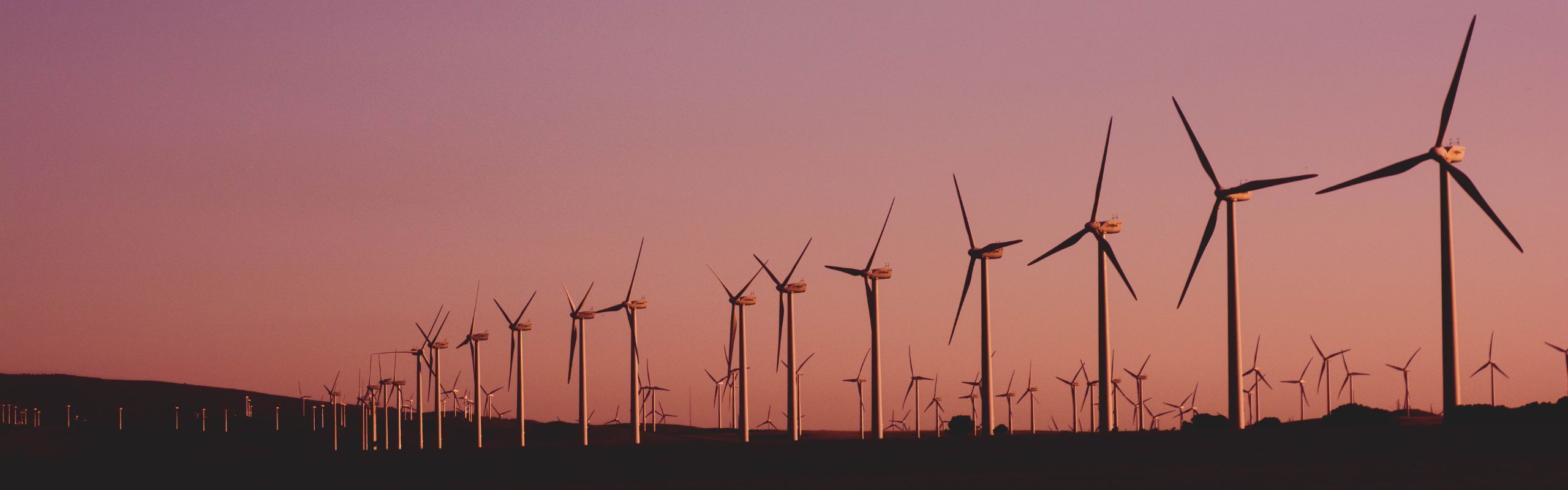 Horizontal image of wind turbines in a line against a pink and purple sunset sky.