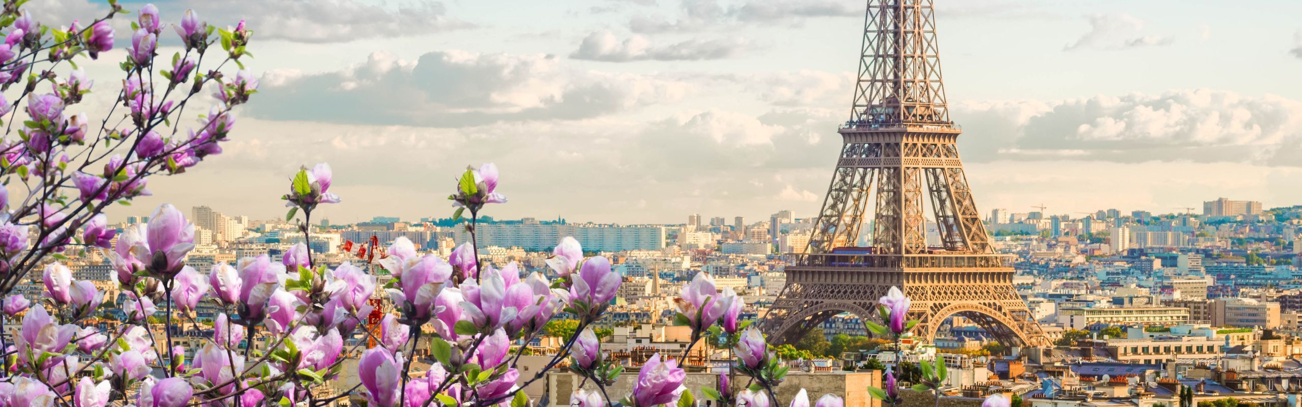 La Naturalisation française par Décret : Des règles strictes et une exigence accrue de conformité 