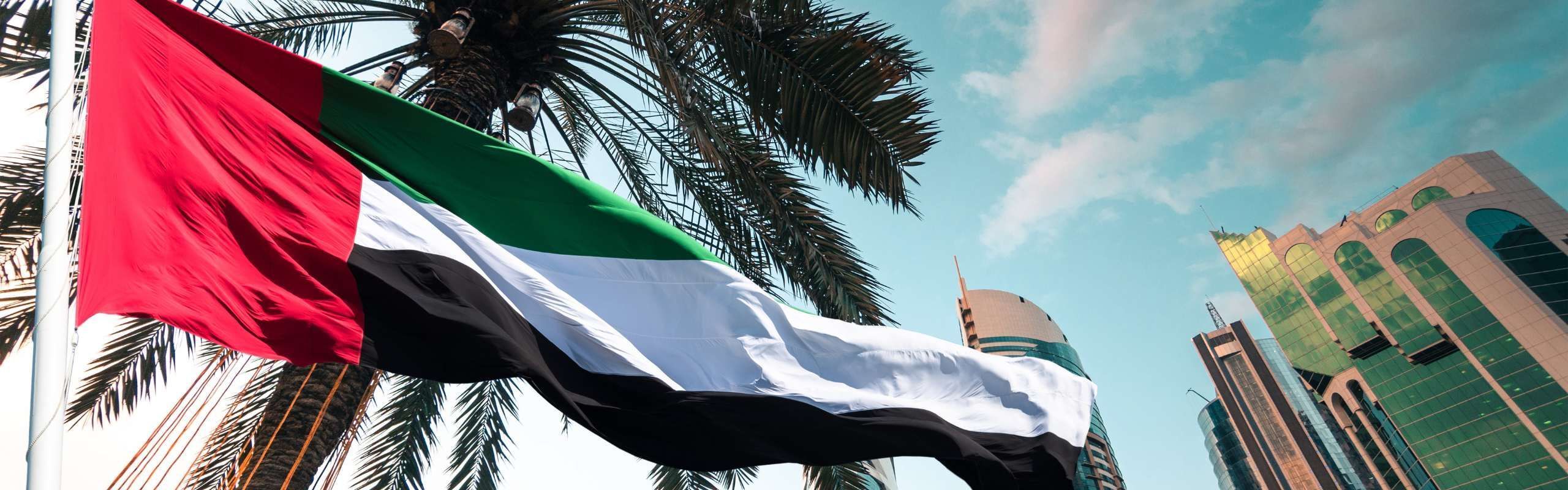 UAE flag against city skyline in Dubai