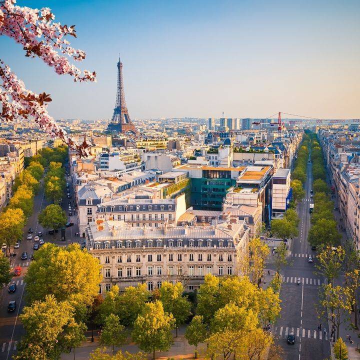Paris Office Tile