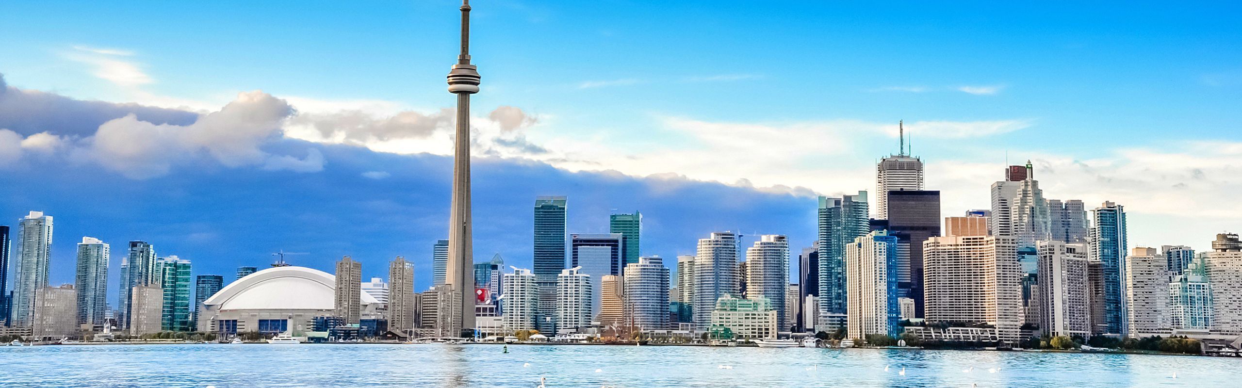 CTV Your Morning: Canada's Immigration System