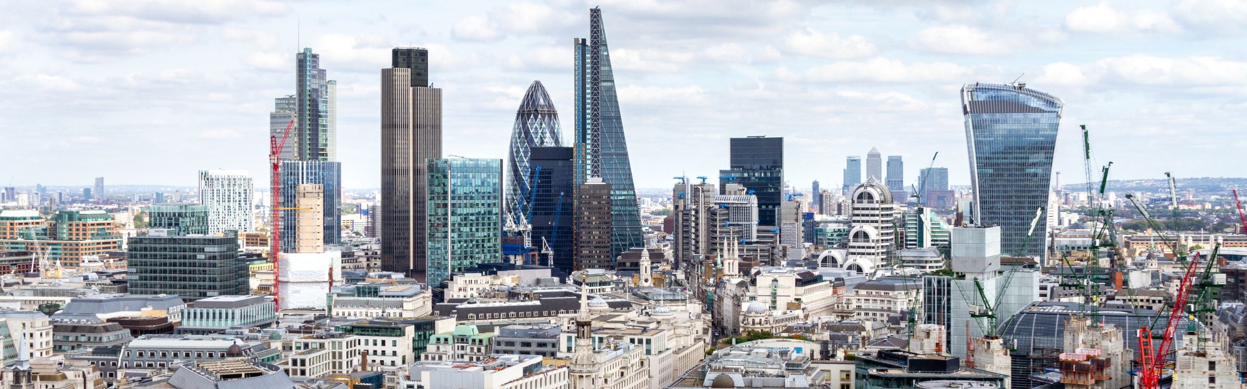 TechInformed: Global Talent, Local Growth: Immigration’s Role in the Tech Economy