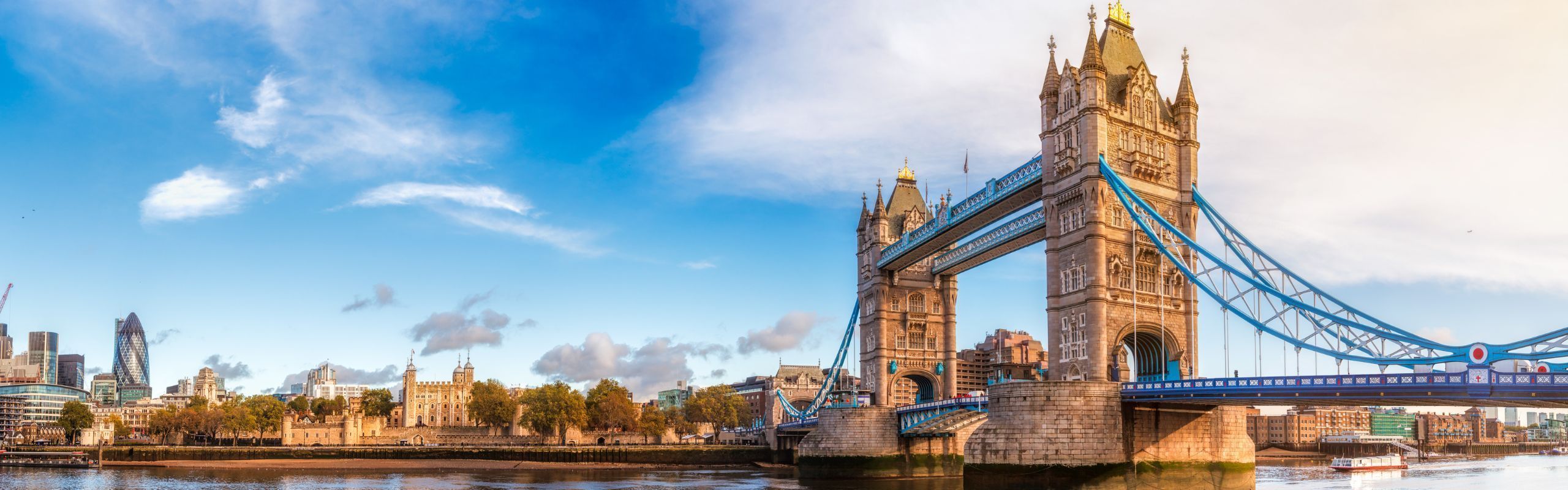 Leading Britain's Conversation: UK Businesses Urged to Act Fast as Immigration Reforms Clash With Industrial Strategy