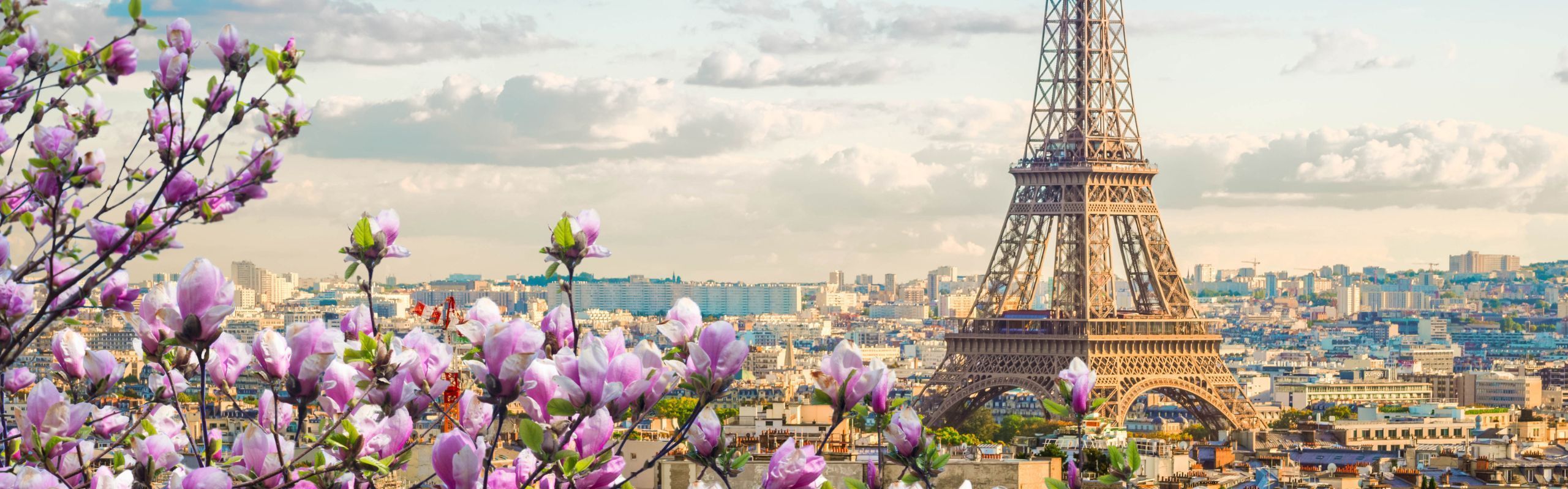 10-Year Residence Permit in France: Who Qualifies and How to Apply