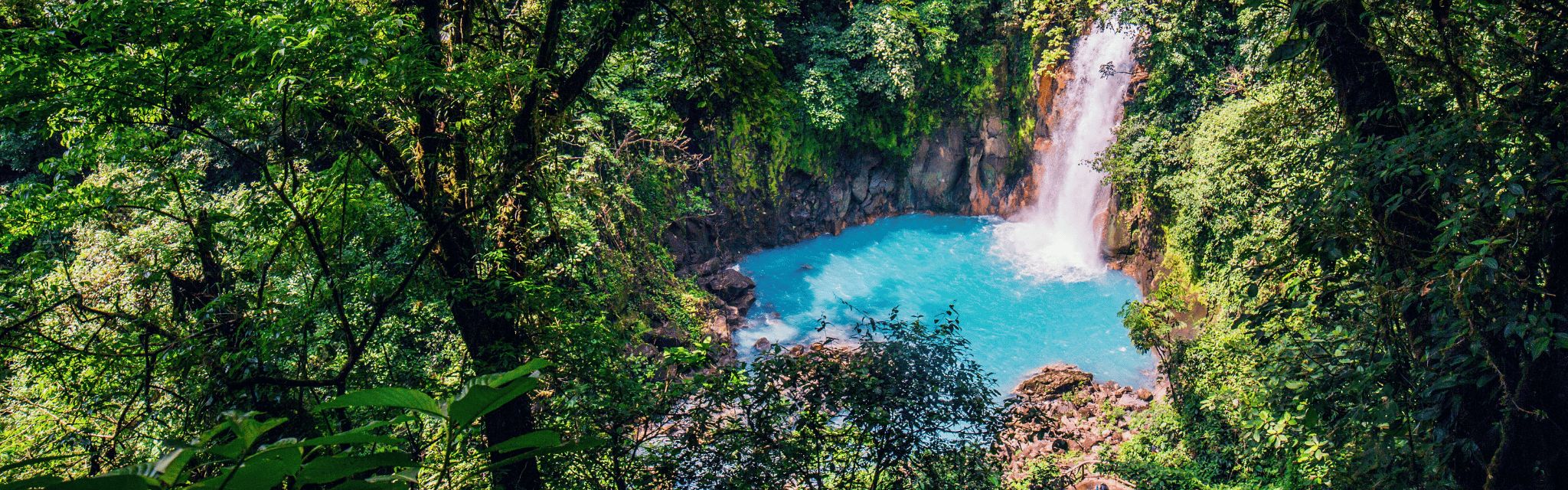 Waterfall into turquoise blue pool in the jungle