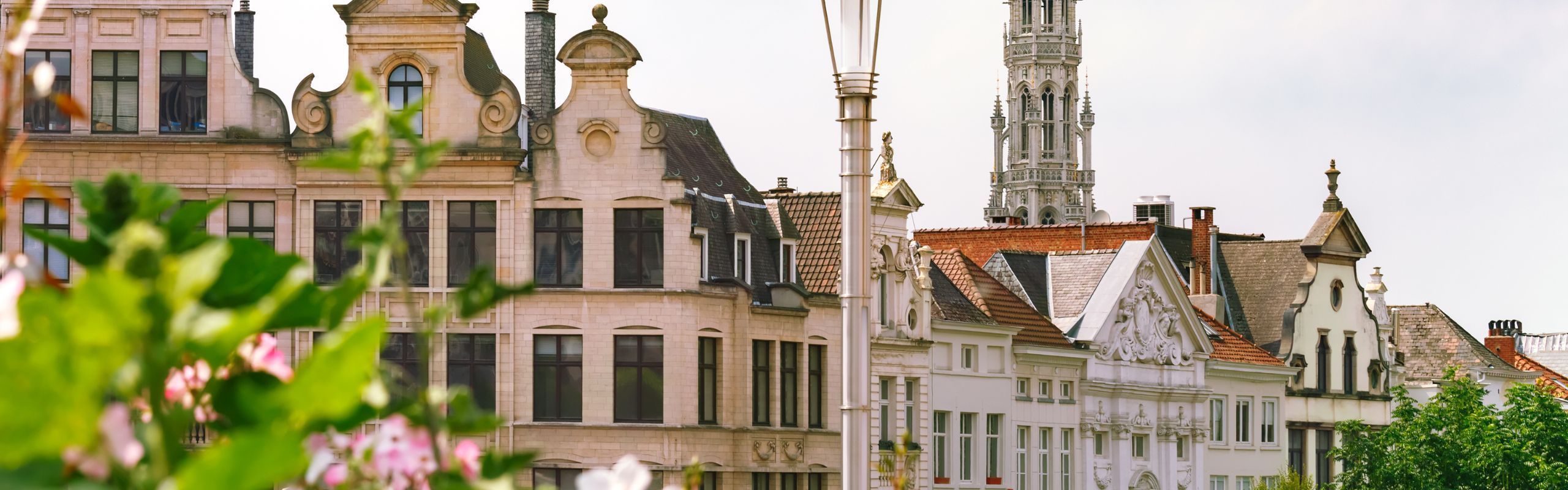 A1 Certificate Fraud: Key Takeaways from the 2025 ECJ Decision 
