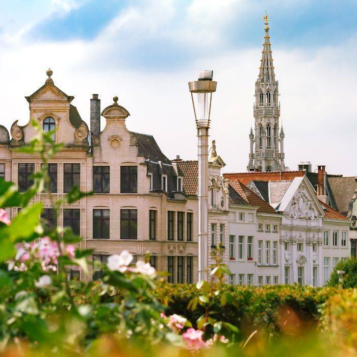 A1 Certificate Fraud: Key Takeaways from the 2025 ECJ Decision 