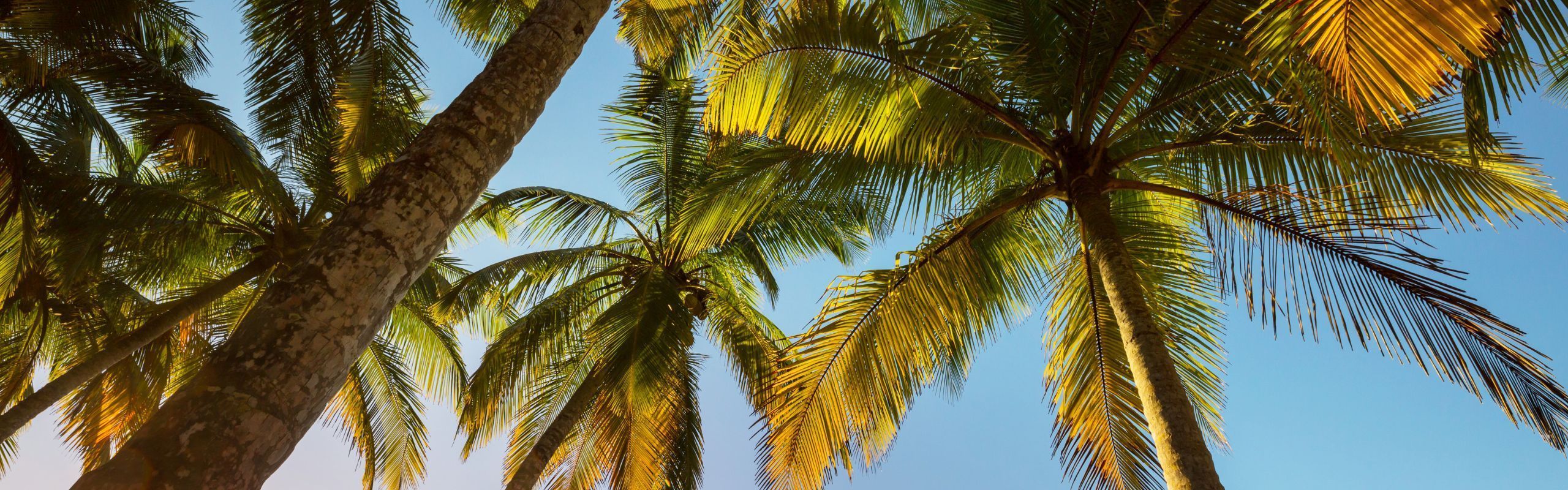 Costa Rica Investment Residency Explained: Requirements and Options
