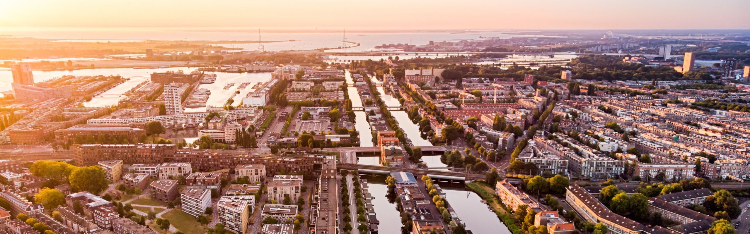 The Rights and Responsibilities of Highly Skilled Migrants Under Dutch Law