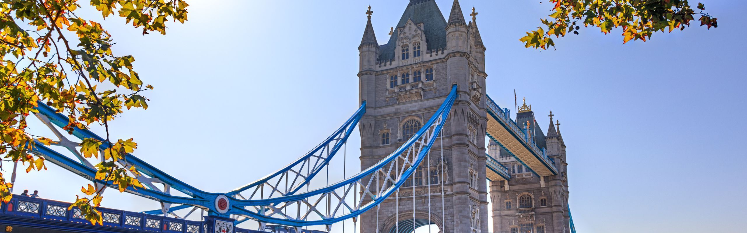 Business Can Be the Winner in UK Election with Aligned Immigration Policy