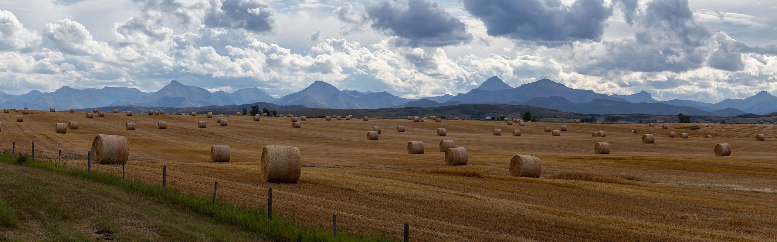 Alberta Canada farm 