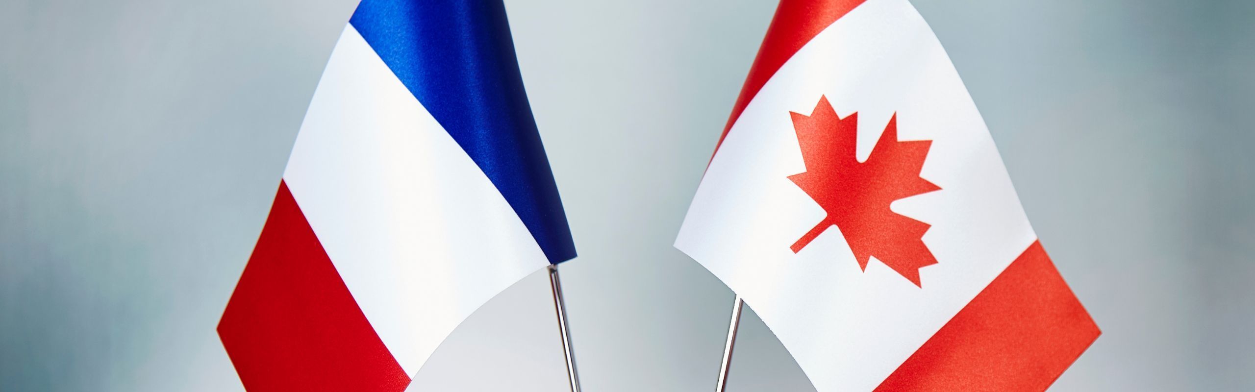 France Canada Chamber of Commerce (ON, MB) Presents Fragomen With "Enabling French Businesses" Award