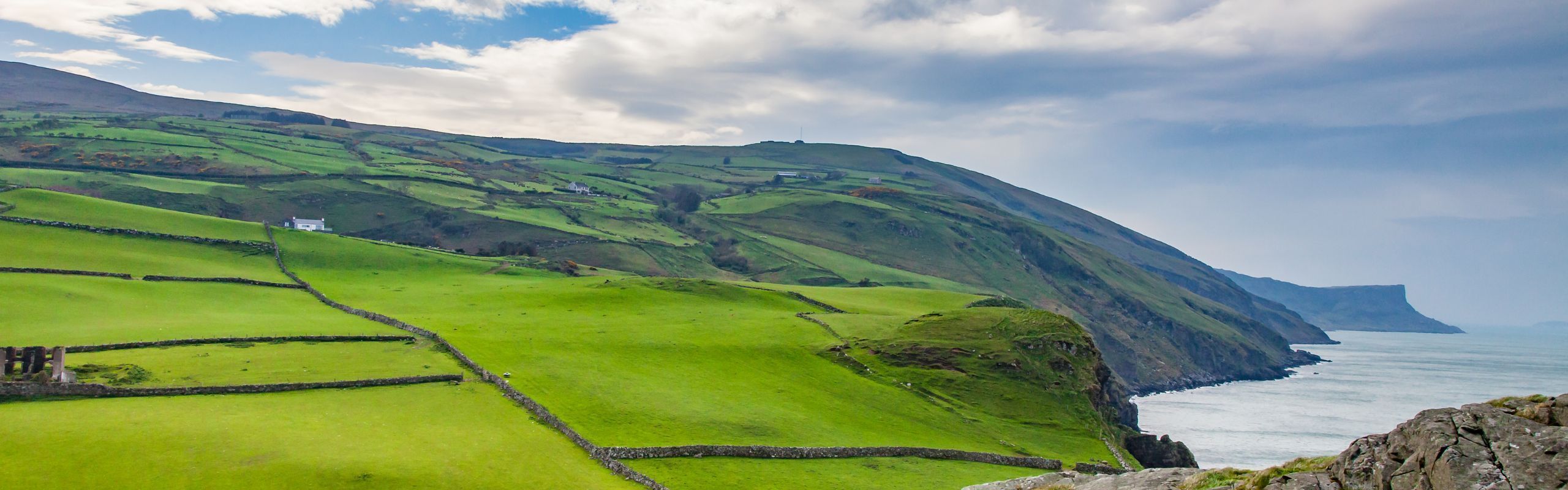 Naturalisation by Association in Ireland: Exploring the New Citizenship Guidelines 