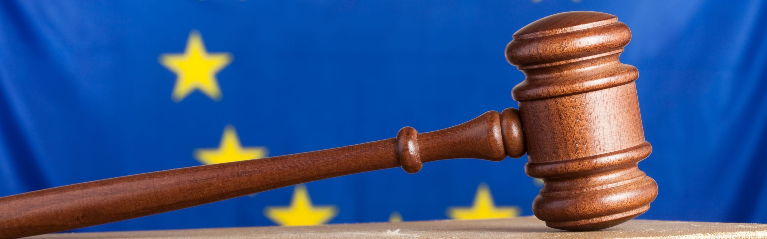 The Impact of 2024 European Parliament Elections on EU Immigration: Key Insights for Businesses