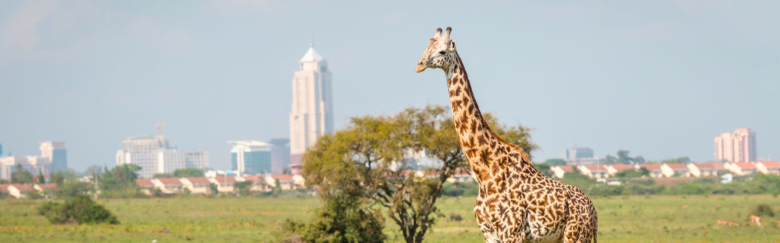 Enlisting Remote Workers into the Kenya Tax Register: Time for Kenya to Consider the Remote Visa Option?