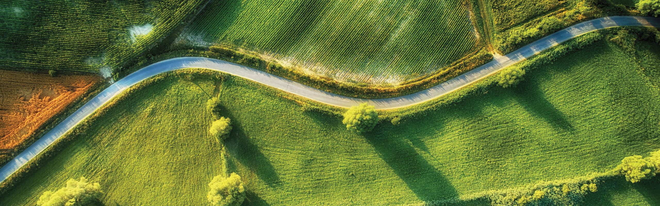Aerial view of green fields with road zigzag across