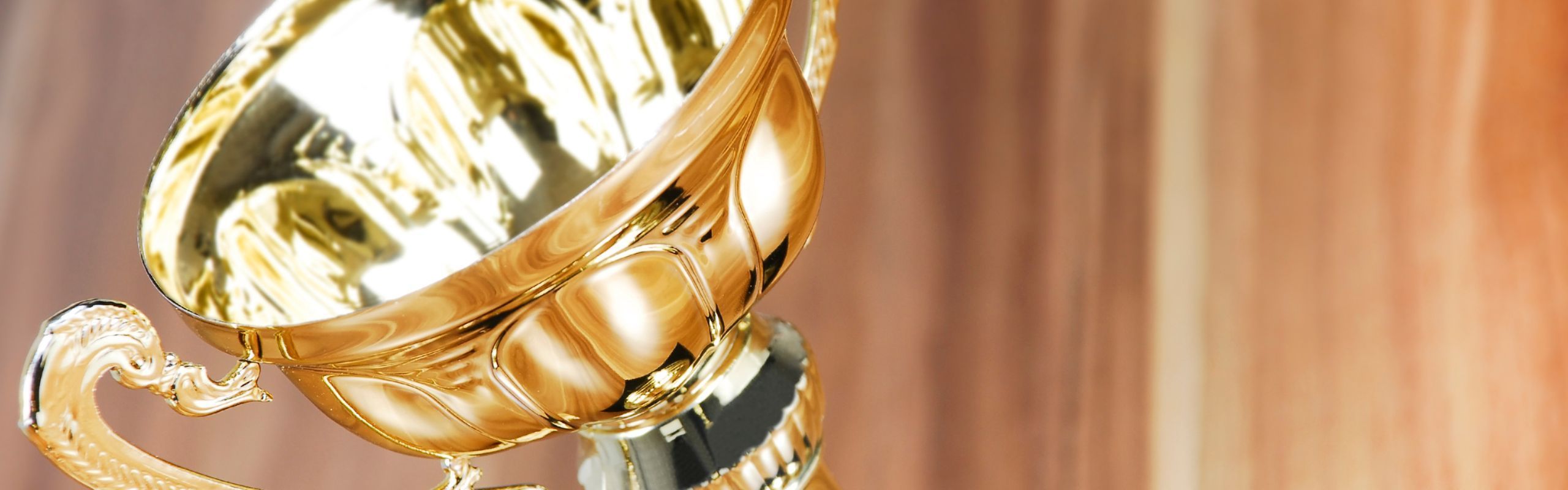 Senior Associate Agata Richardson Honored with Casa Cornelia Law Center Pro Bono Publico Award