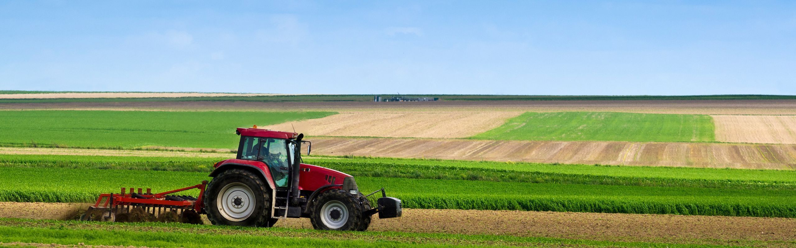 Farming the Countryside: The Immigration Challenge & Its Impact on Agriculture