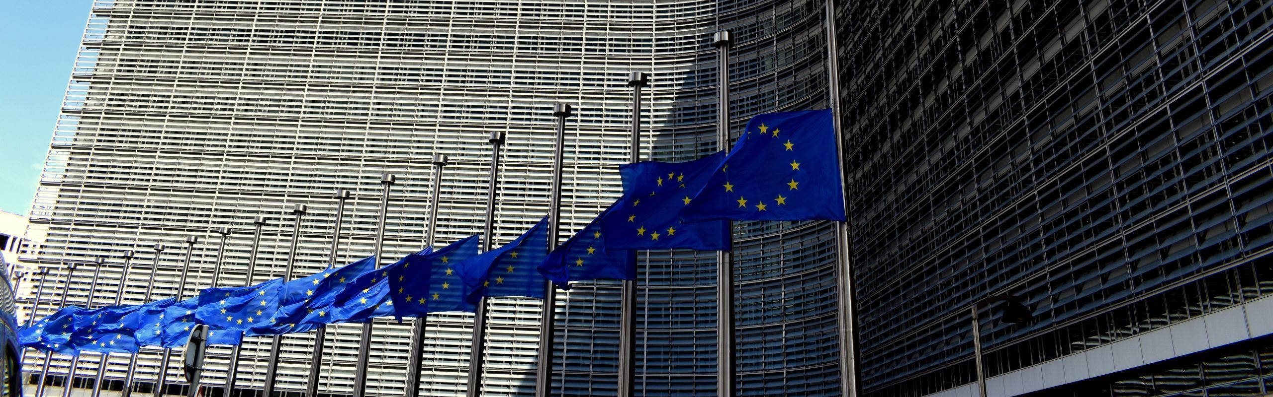 EU Main Header 