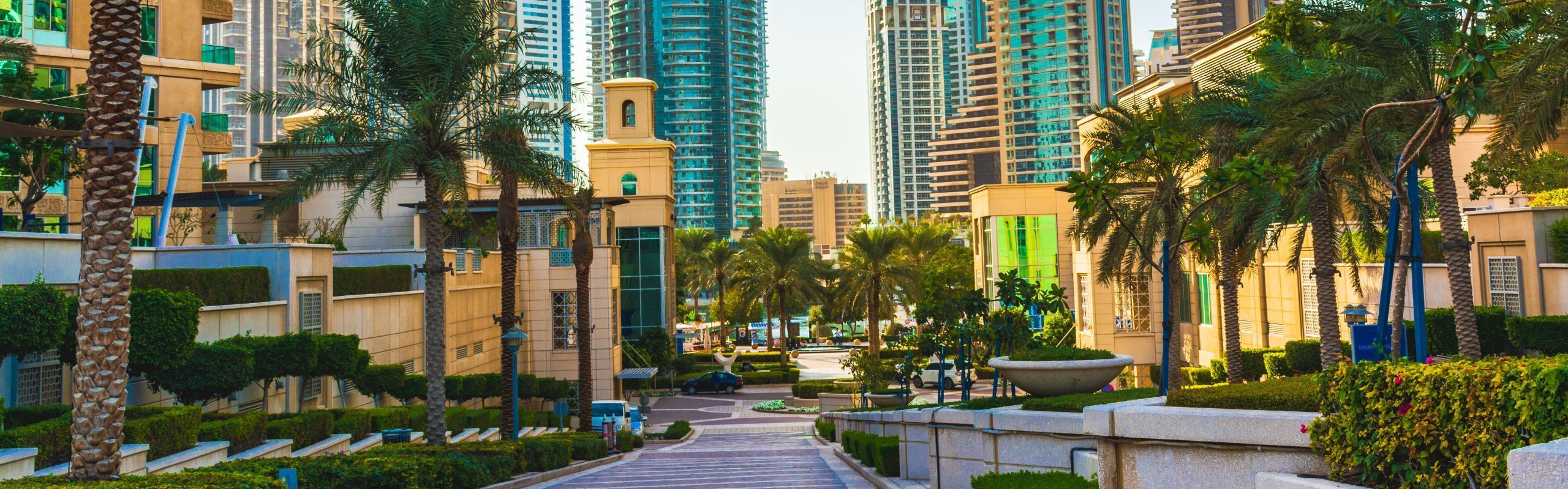 Entrepreneur Al Arabiya: Work visa procedures and their role in the free movement of talent