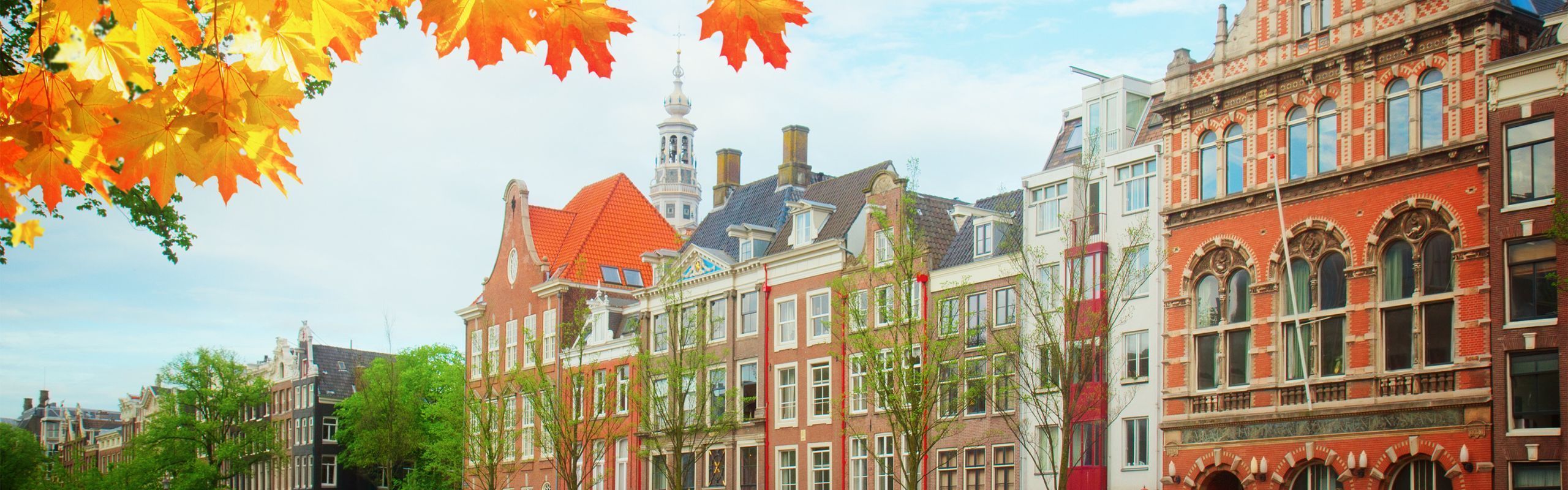 From Student to Professional: Your Guide to Studying, Working and Living in the Netherlands 
