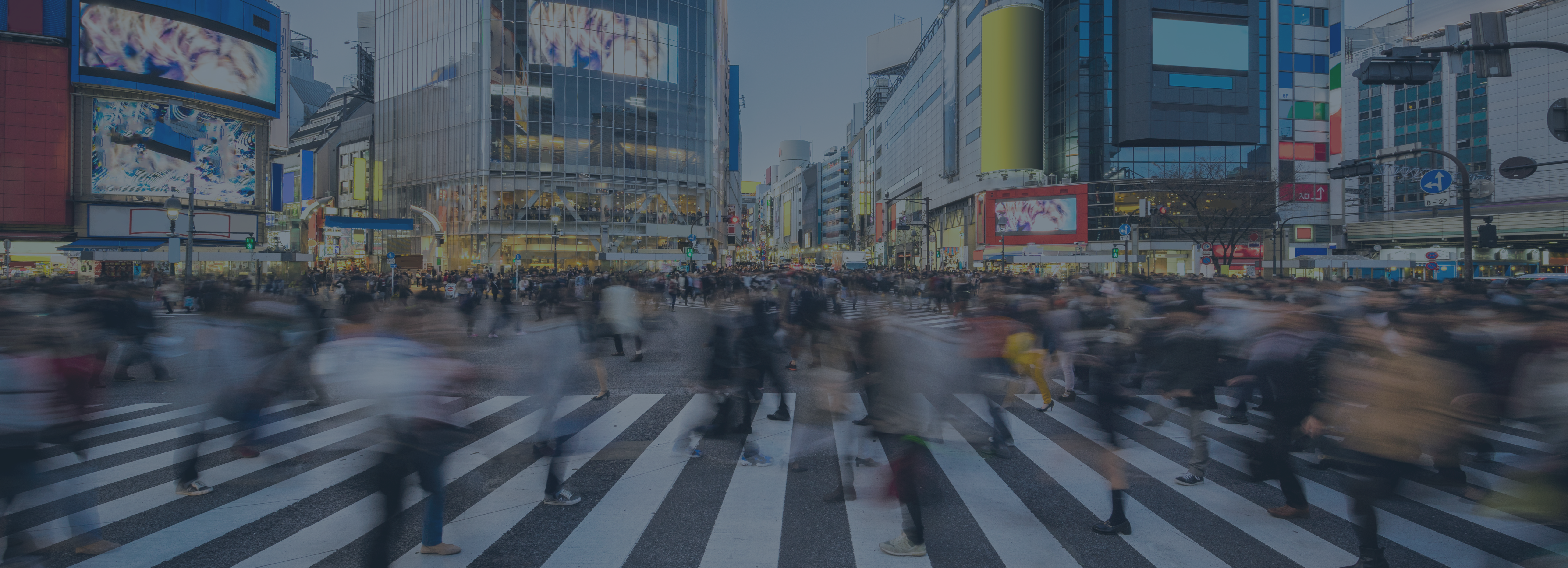 Managing Immigration in the Age of Disruption: A Japanese system keeping up with the times