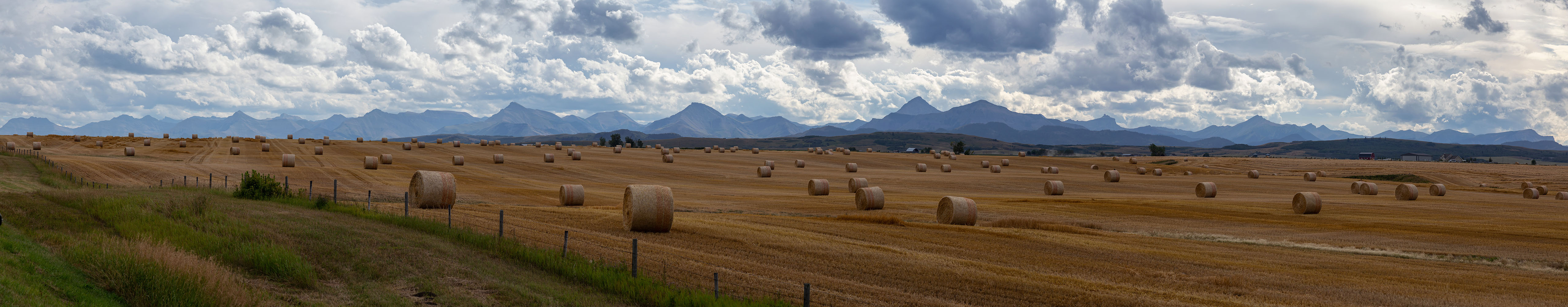 Opportunities for South African Farmers